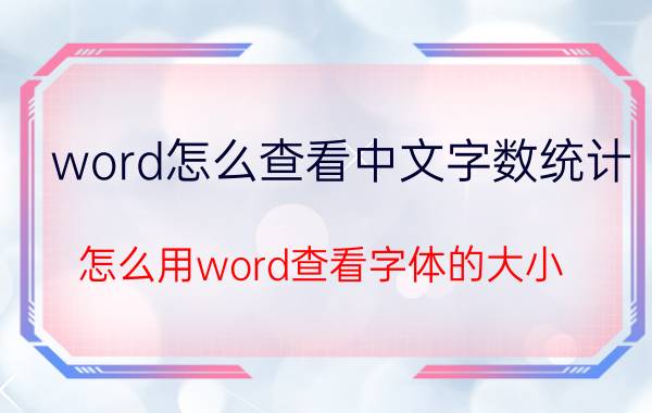 word怎么查看中文字数统计 怎么用word查看字体的大小？